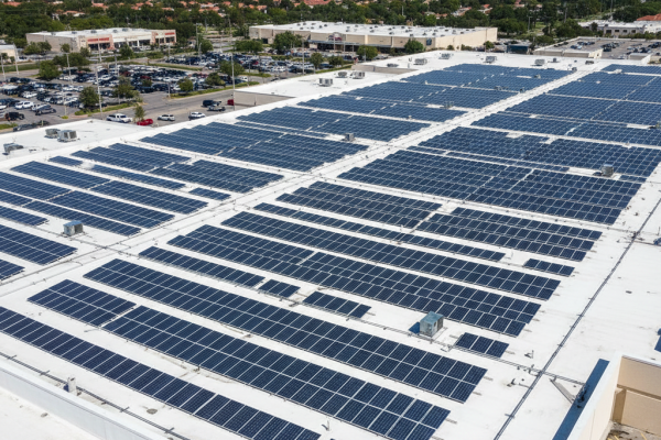 Gemini_Generated_Image_g6z4ksg6z4ksg6z4